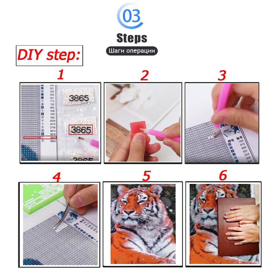 5D DIY Diamond Embroidery Pict - Resin Art Mary 评论和价格